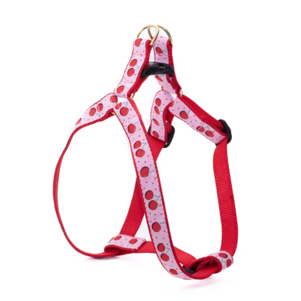 Stylish Up Country Cherries Dog Harness for Fashionable Pups