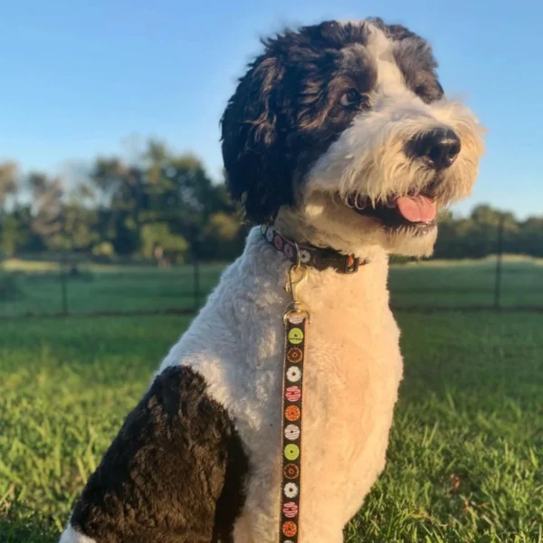 Stylish Up Country Donuts Dog Leash - Durable and Fun Design - Image 3