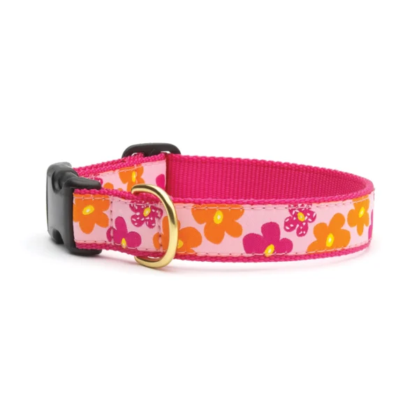 Up Country Flower Power Dog Collar - Stylish Floral Pattern for Your Pup