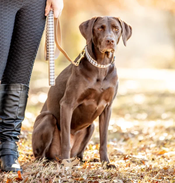 Up Country Gray Buffalo Check Dog Leash - Image 3