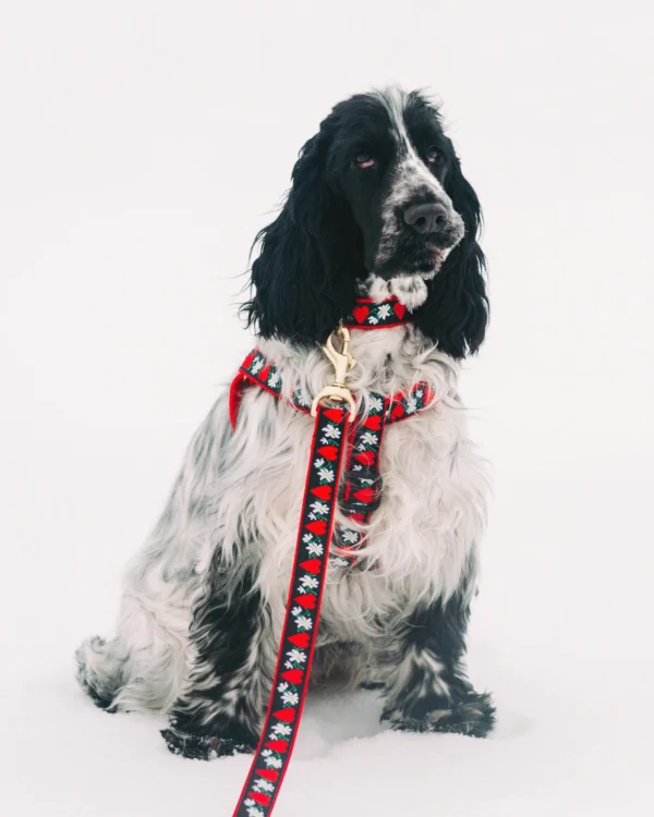 Up Country Hearts and Flowers Dog Harness - Image 3