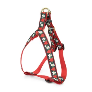 Up Country Hearts and Flowers Dog Harness