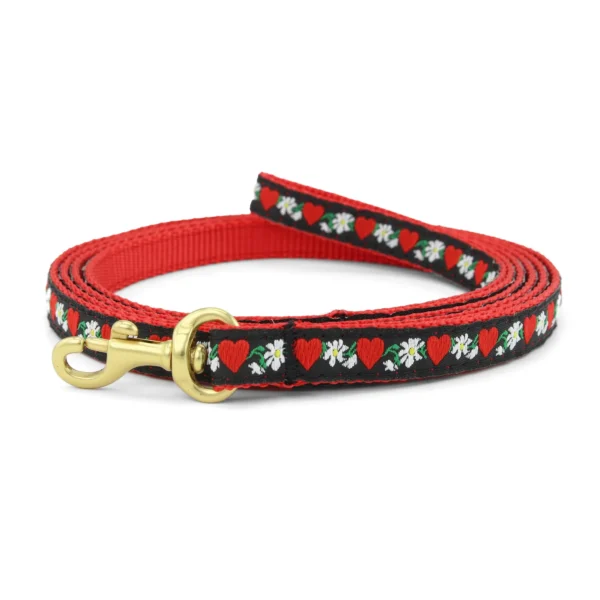 Up Country Hearts and Flowers Dog Leash - Stylish and Durable Pet Accessory - Image 4