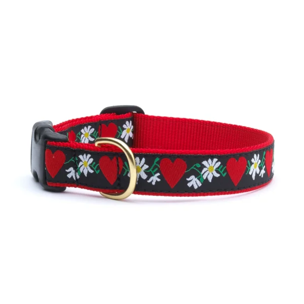 Up Country Hearts and Flowers Dog Collar