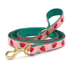 Up Country Strawberry Fields Dog Leash - Stylish and Durable Leash for Your Pup
