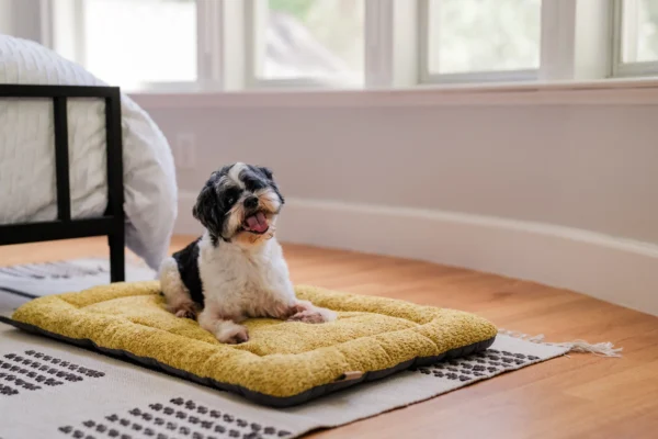 P.L.A.Y. Canyon Series Chill Pad: Stylish and Comfortable Pet Bed for Dogs and Cats - Image 6