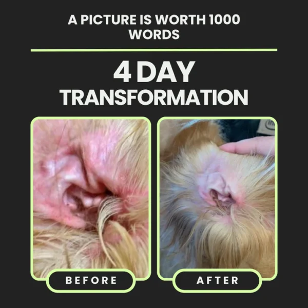 Nexderma Silvet Ear Cleaner - Gentle Solution for Pet Ear Health - Image 2