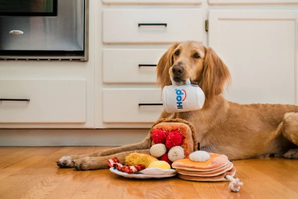 P.L.A.Y. IHOP Breakfast Sampler Dog Toy - 4 Piece Set - Image 9