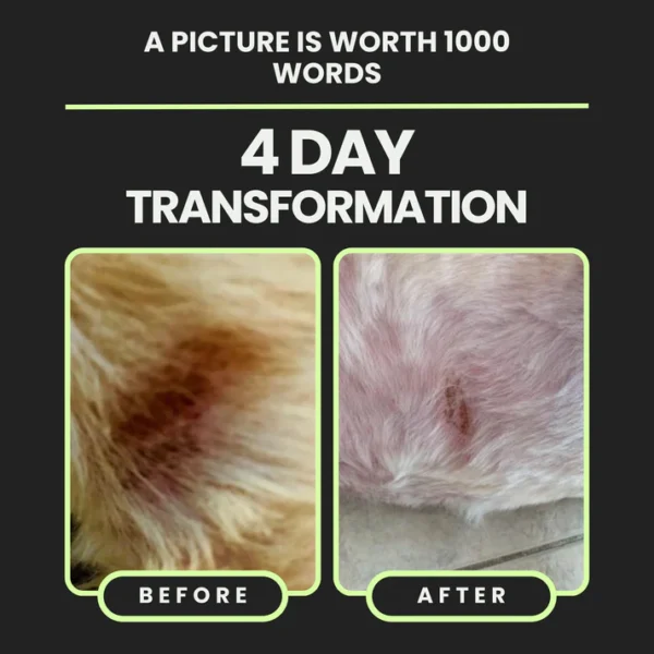 Nexderma Silvet Wound Spray - Image 2