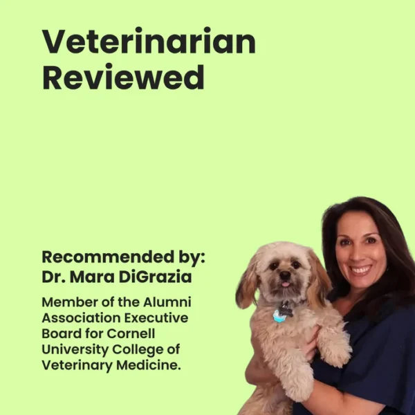 Nexderma Silvet Wound Spray - Image 8