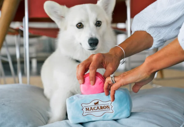 P.L.A.Y. Pup Cup Cafe Collection - Image 15