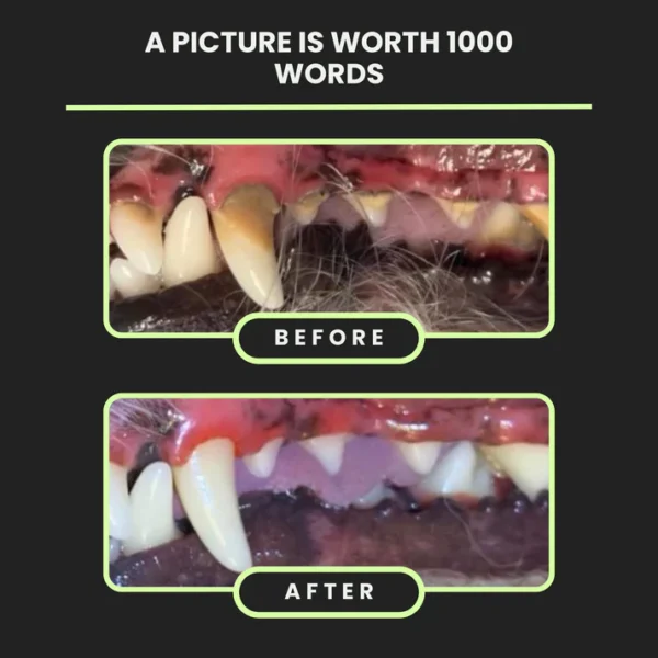 Nexderma Silvet Toothpaste - Image 3