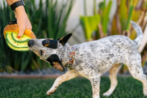 P.L.A.Y. Barking Brunch Plush Collection: Fun and Stylish Dog Toys for Brunch-Loving Pups - Image 4