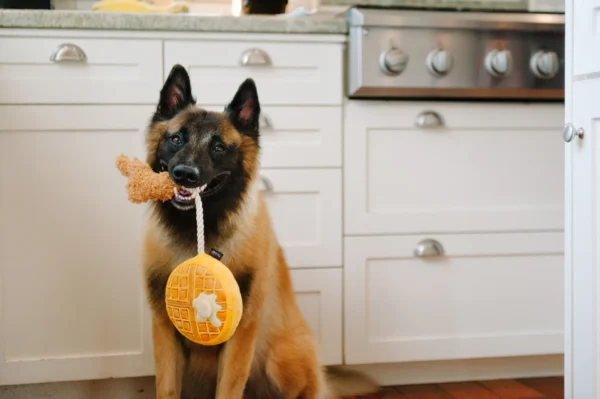 P.L.A.Y. Barking Brunch Plush Collection: Fun and Stylish Dog Toys for Brunch-Loving Pups - Image 7
