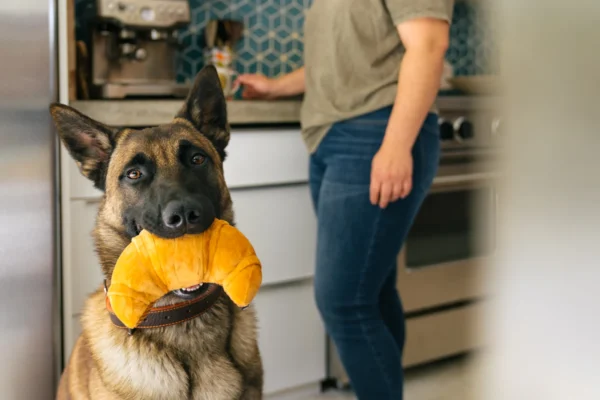 P.L.A.Y. Barking Brunch Plush Collection: Fun and Stylish Dog Toys for Brunch-Loving Pups - Image 10