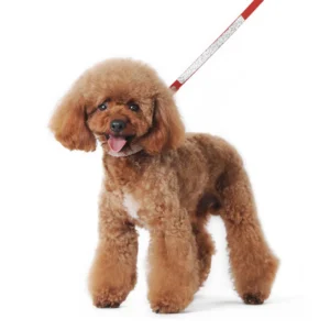 Dazzle in Style with Dogo VIP Bling Leash - Available in 8 Colors
