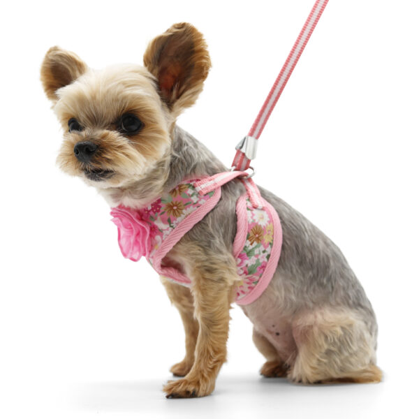 Dogo EasyGO Blossom Harness & Leash - Image 5