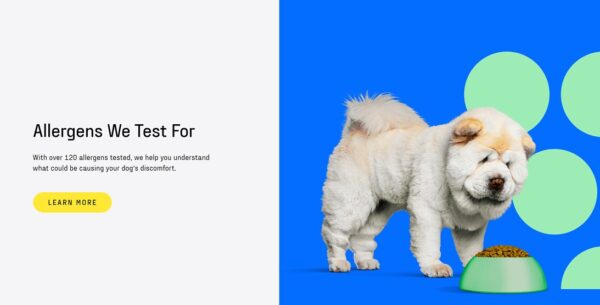 Fast DNA My Dog Canine Allergy Test: Get Results in 7 Days! - Image 2