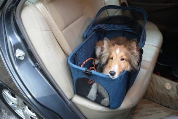 Ibiyaya Essential – Travois Tri-fold Pet Travel System XL, Pet Stroller with Detachable Carrier - Image 8