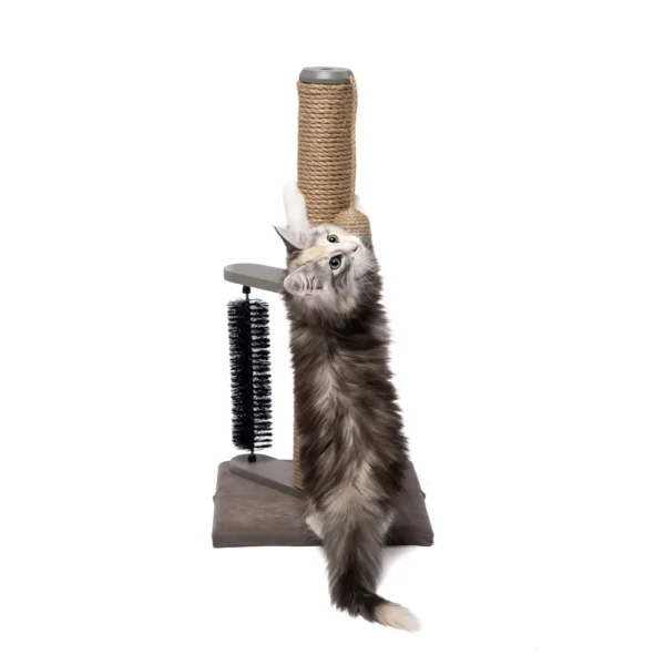 Sturdi Cat Scratch Post with Brush - Image 2