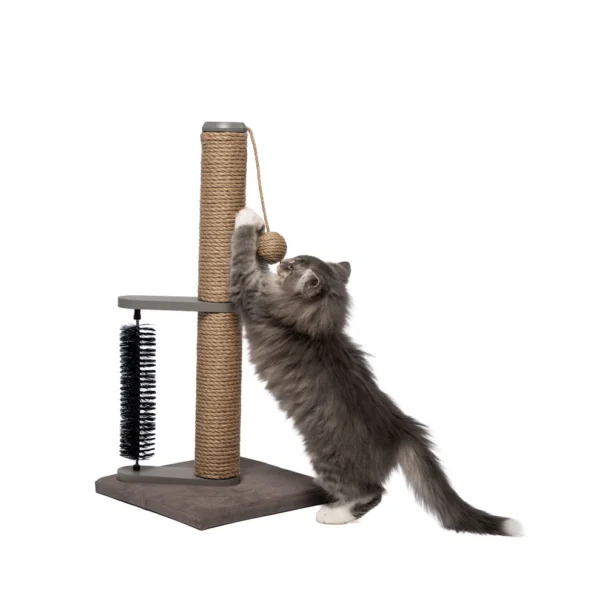 Sturdi Cat Scratch Post with Brush