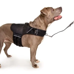 Sleepypod Martingale Calming Harness: Comfortable Anxiety Relief for Dogs