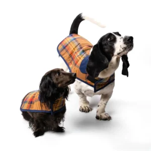 Stylish Pendleton Plaid Dog Coat - Available in 2 Colors