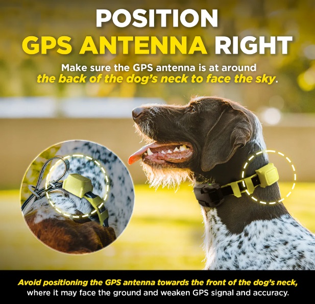 Dogtra GPS Fence - Image 8