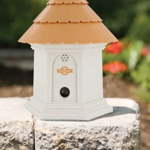 PetSafe Deluxe Outdoor Bark Control: Stop Excessive Barking Now