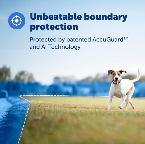 PetSafe Guardian GPS Dog Fence Collar: Track Your Pet's Location - Image 2