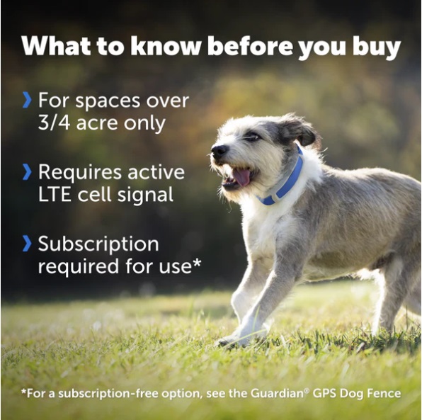 PetSafe Guardian GPS Dog Fence Collar: Track Your Pet's Location - Image 3