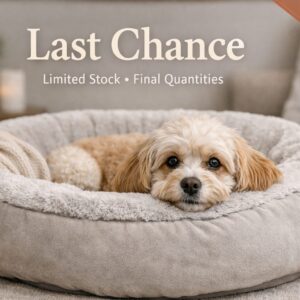 Last Chance