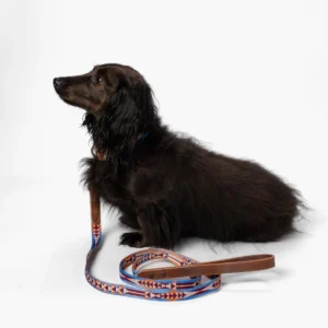 Pendleton Heritage Leash - Stylish Dog Leash in 4 Colors