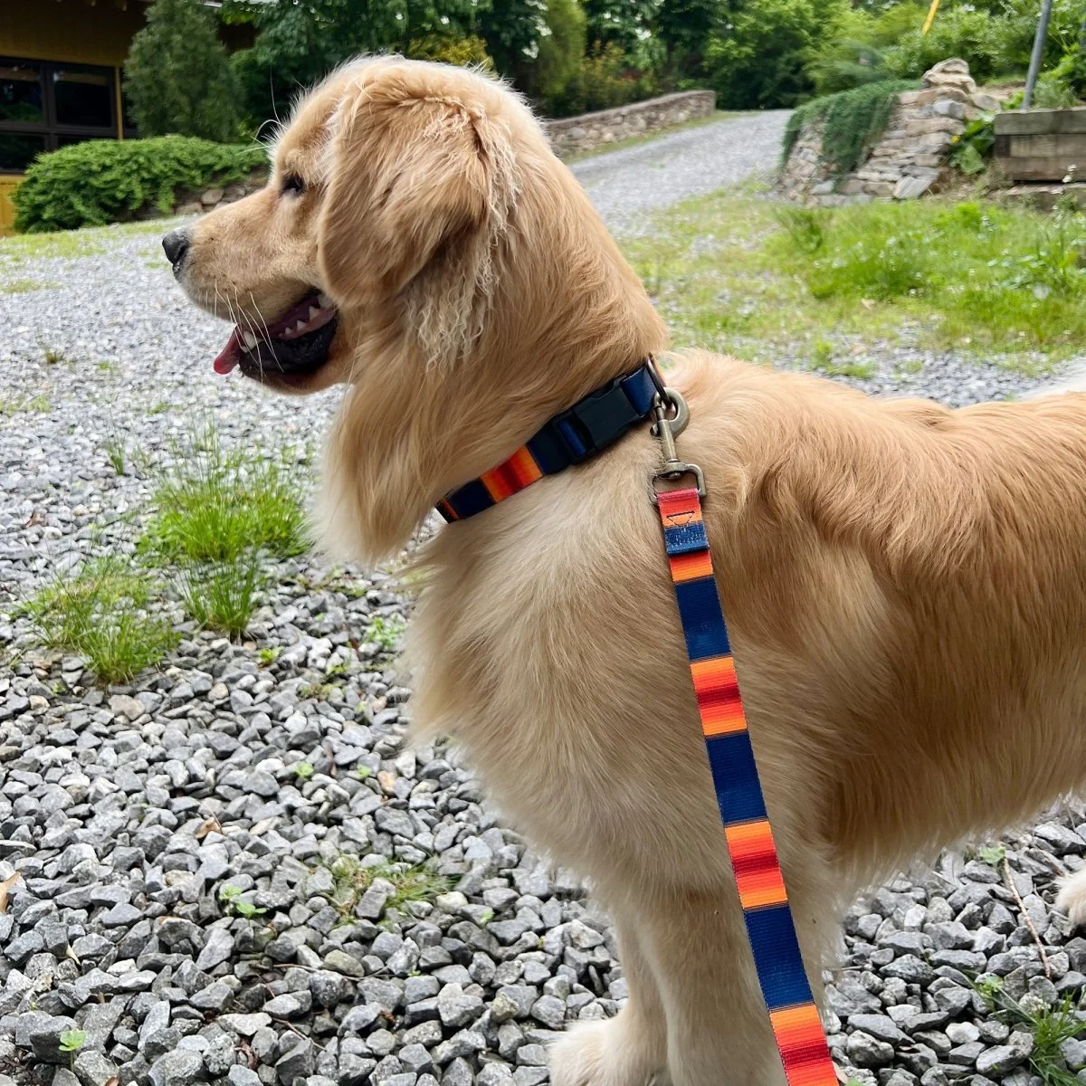 Pendleton National Park Adventure Leash - Available in 8 Vibrant Colors - Image 12