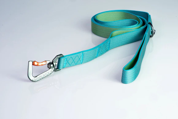 Sleepypod Power Leash: The Ultimate Hands-Free Dog Leash for Active Pet Owners - Image 5