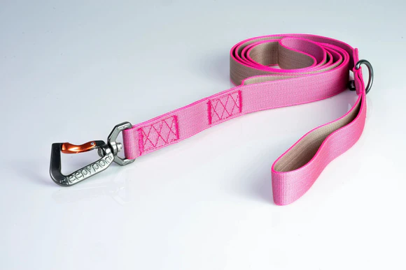Sleepypod Power Leash: The Ultimate Hands-Free Dog Leash for Active Pet Owners - Image 2