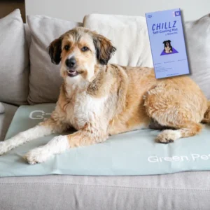 Dog lounging on a pale blue self-cooling mat on a sofa with a purple Chillz box resting on its back on the right side.