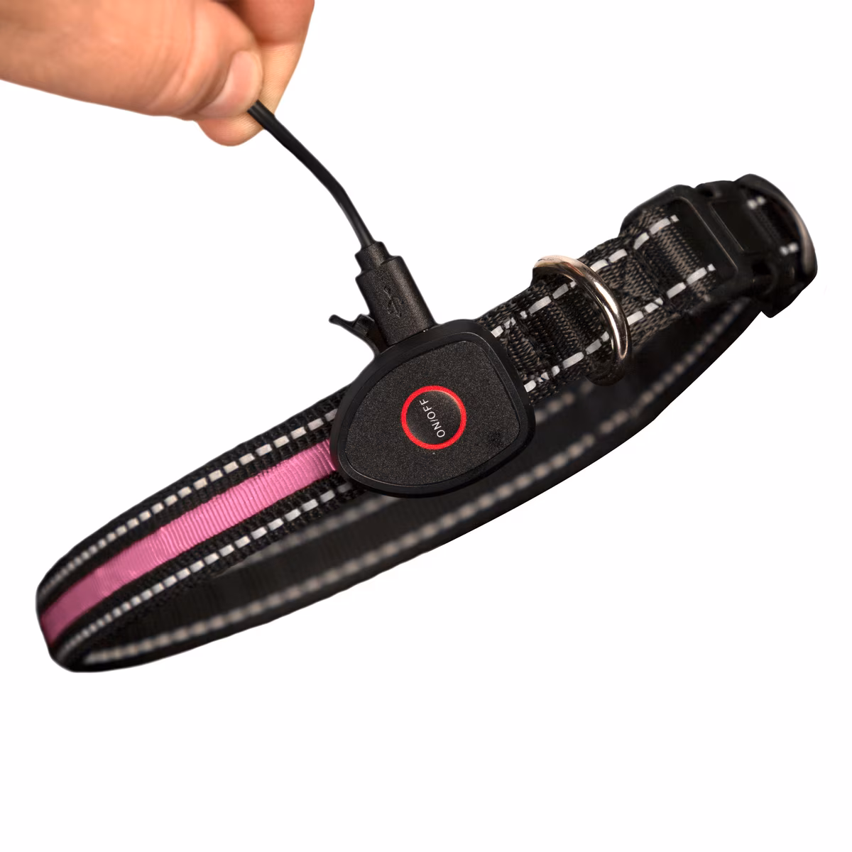Sherry Kline LED Dog Collar - Image 2