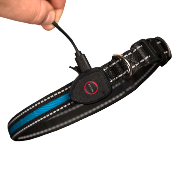 Black dog collar with an integrated electronic receiver and a USB charging cable being connected by a hand to the device on the strap