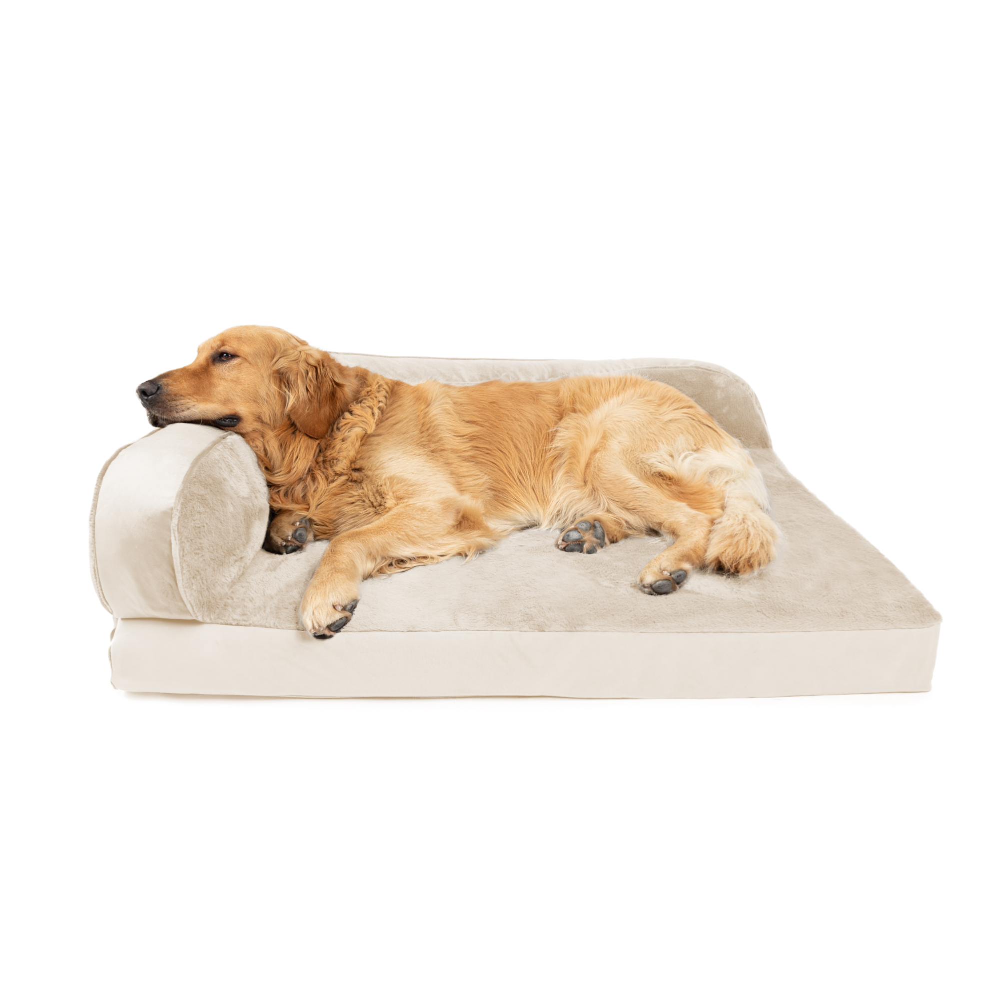 Golden retriever napping on a light beige sofa, stretched out on its side.