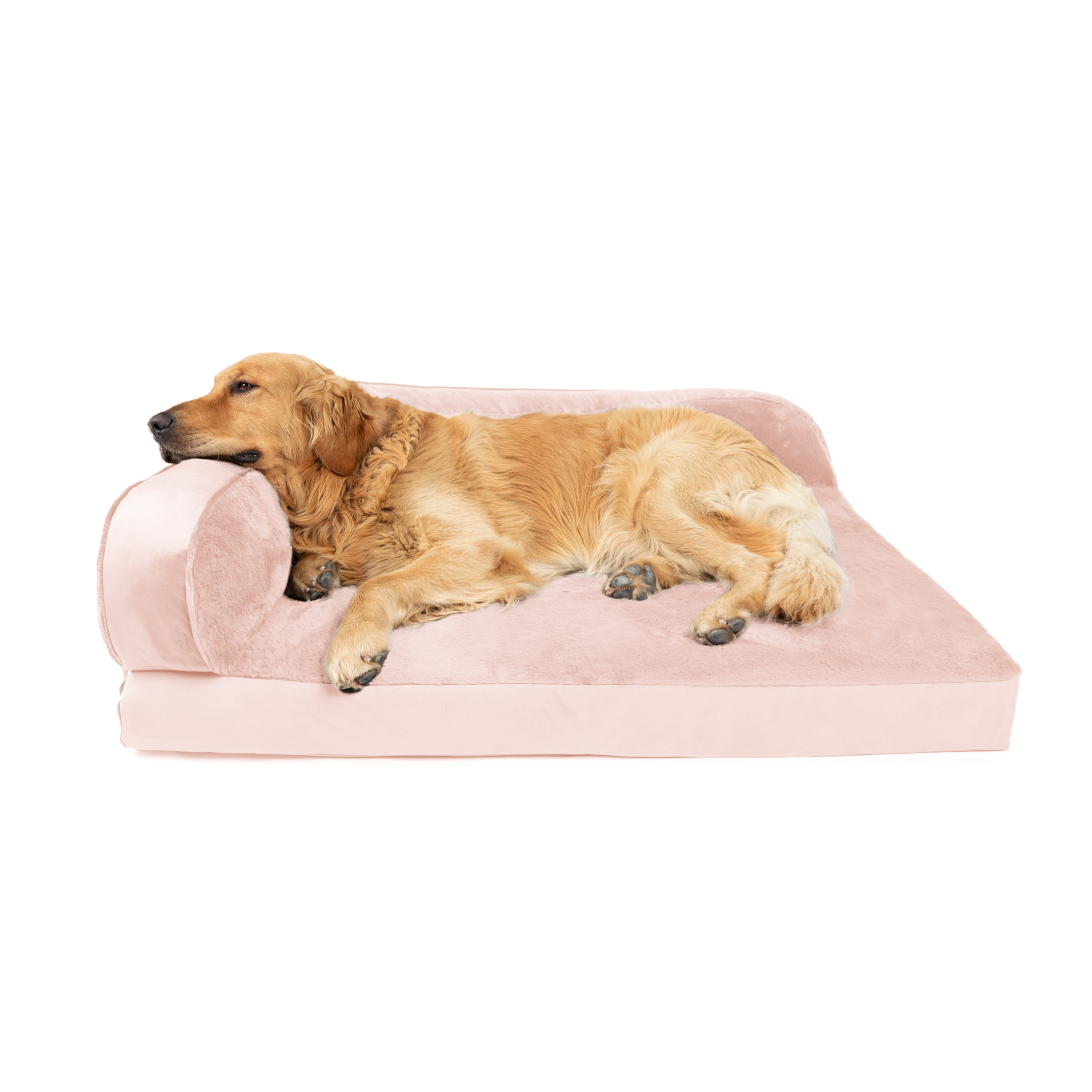 Golden retriever resting on a light pink sofa bed, lying on its side with relaxed paws.