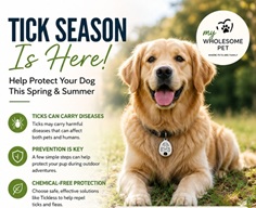 Golden retriever on grass with a banner: 'Tick Season Is Here! Help Protect Your Dog This Spring & Summer.'