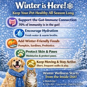 Winter pet wellness infographic listing tips: gut-immune support, hydration, winter-friendly foods, skin/paw care, and staying active with a dog and cat at the bottom.