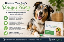 Banner ad for DNA My Dog showing a happy dog and a list of features (breed ID, health, traits) with the slogan 'Discover Your Dog’s Unique Story'
