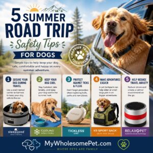 Infographic titled '5 Summer Road Trip Safety Tips for Dogs' showing a golden retriever in a car and five tip cards.