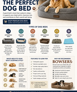 Infographic guide to choosing a dog bed, showing bed types (orthopedic, bolster, donut, travel), sizing tips, features to look for, and recommendations. A dog rests on a round, cushioned bed in the image.