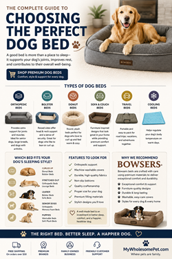 Infographic guide to choosing a dog bed, showing bed types (orthopedic, bolster, donut, travel), sizing tips, features to look for, and recommendations. A dog rests on a round, cushioned bed in the image.