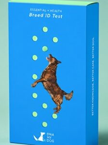 DNA My Dog Essential + Health Dog DNA Test