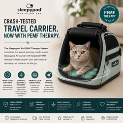 What Is PEMF Therapy for Pets? A Guide for Dog and Cat Owners