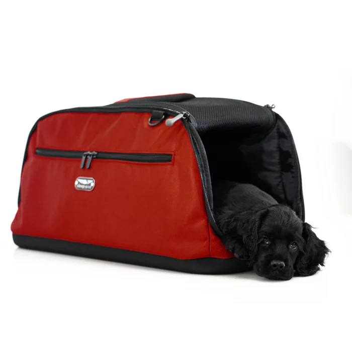 Red soft-sided dog carrier with a black dog peeking out from the entrance